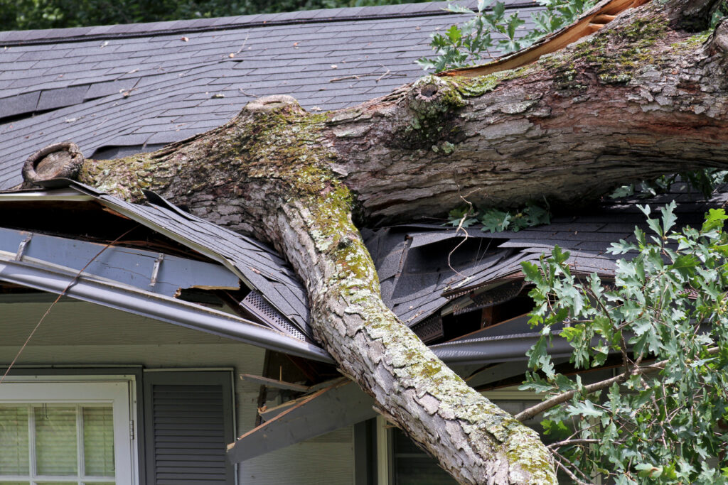 Roof Damage